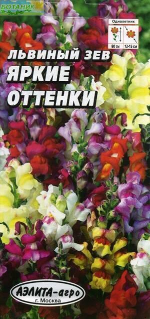 Купить оптом в Ботанике семена Львиный зев Яркие оттенки Аэл бренд Аэлита