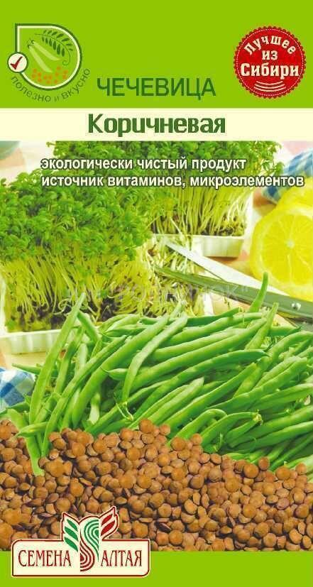 Купить оптом в Ботанике семена Чечевица Коричневая СА бренд Семена Алтая