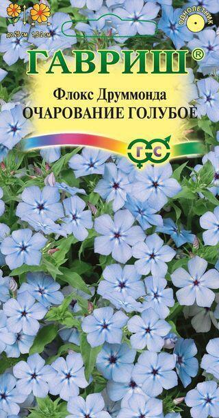 Купить оптом в Ботанике семена Флокс Очарование голубое друммонда Гав бренд Гавриш