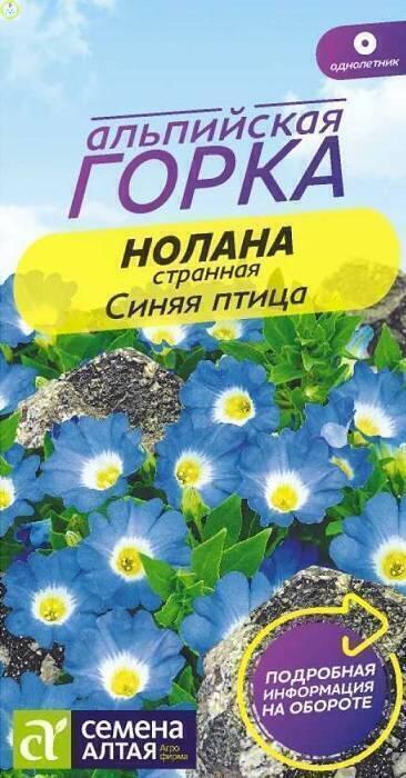 Купить оптом в Ботанике семена Нолана Синяя птица СА бренд Семена Алтая