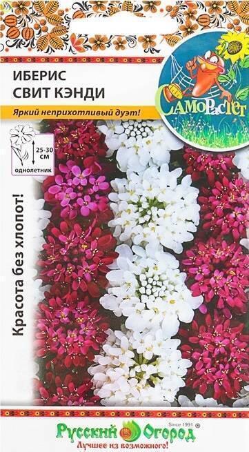 Купить оптом в Ботанике семена Иберис Свит Кэнди смесь НК бренд НК