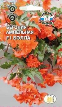 Купить оптом в Ботанике семена Бегония Бэлла ампельная Сед бренд СеДеК