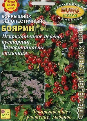 Купить оптом в Ботанике семена Боярышник Боярин Аэл бренд Аэлита