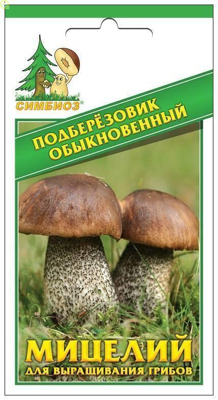 Купить оптом в Ботанике семена Подберезовик обыкновенный Сим бренд НПМЛ СИМБИОЗ