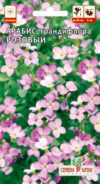 Купить оптом в Ботанике семена Арабис Грандифлора розовый СА бренд Семена Алтая