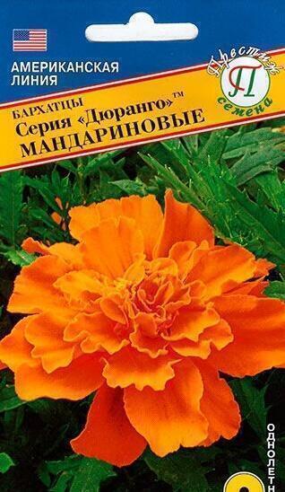 Купить оптом в Ботанике семена Бархатцы Дюранго Мандариновые Прес бренд Престиж
