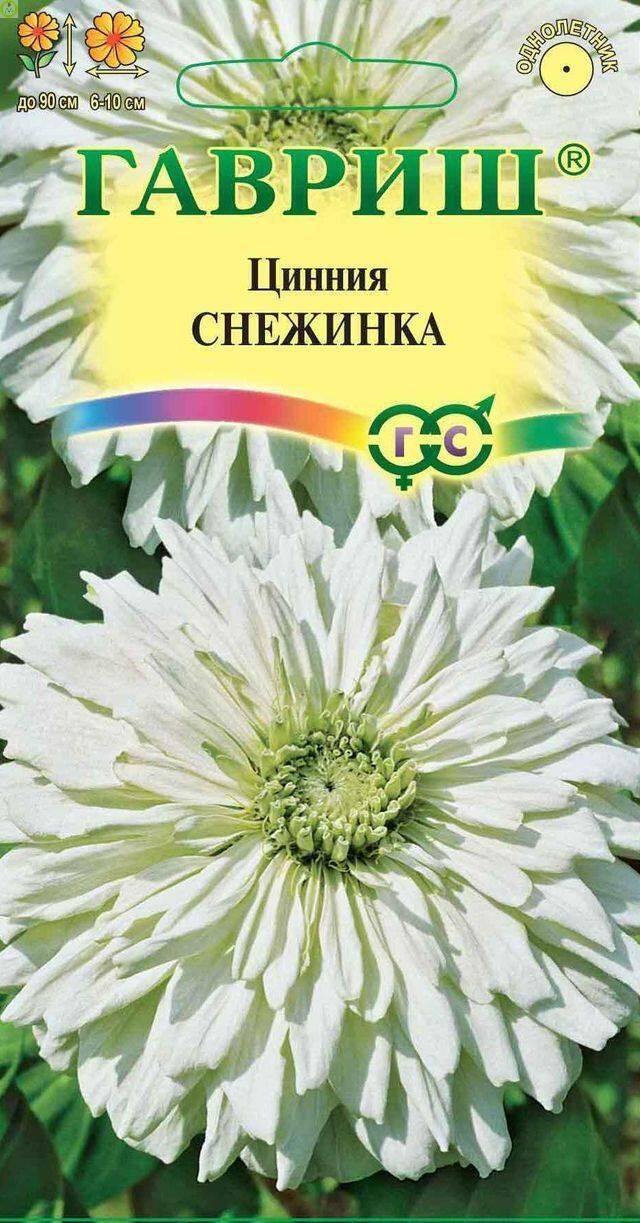 Купить оптом в Ботанике семена Цинния Снежинка Гав бренд Гавриш