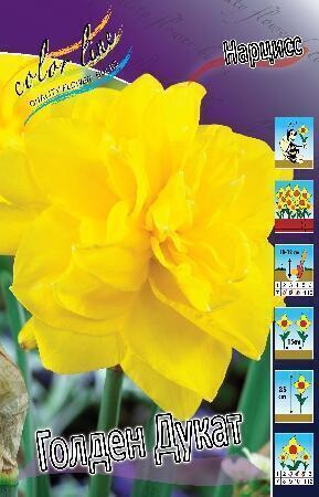 Купить оптом в Ботанике Нарцисс Голден Дукат 7 шт