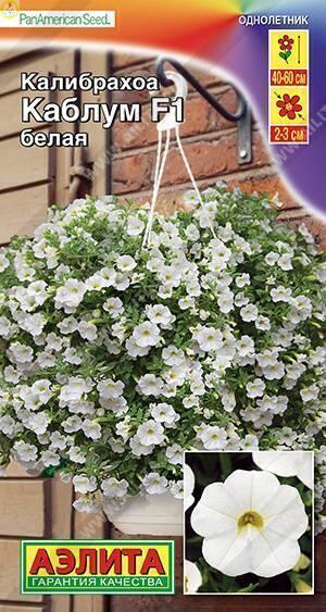 Купить оптом в Ботанике семена Калибрахоа Каблум белая F1 Аэл бренд Аэлита