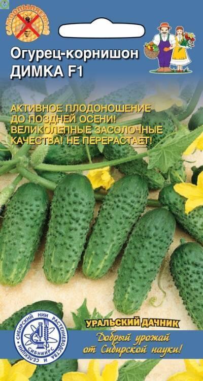 Купить оптом в Ботанике семена Огурец Димка F1 УД бренд Уральский дачник