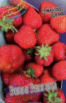 Купить оптом в Ботанике Земляника садовая Зенга Зенгана 5 шт