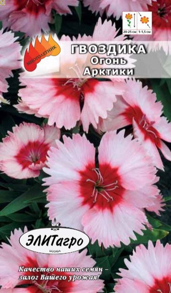 Купить оптом в Ботанике семена Гвоздика травянка Огонь Арктики Аэл бренд Аэлита
