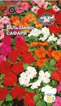 Купить оптом в Ботанике семена Бальзамин Сафари Сед бренд СеДеК