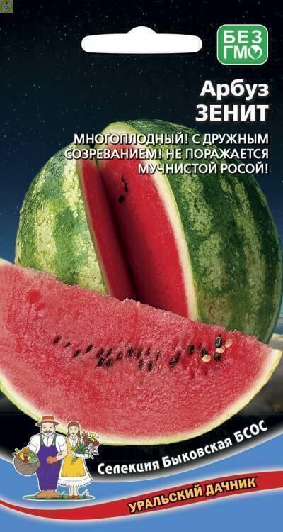 Купить оптом в Ботанике семена Арбуз Зенит УД бренд Уральский дачник