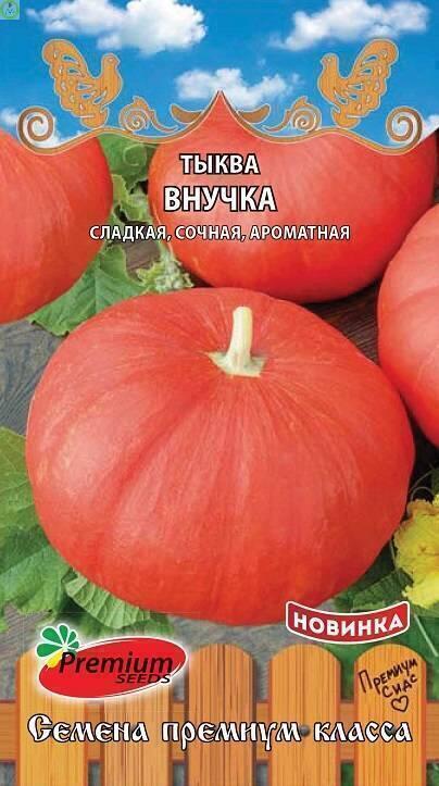 Купить оптом в Ботанике семена Тыква Внучка ПС бренд Премиум Сидс
