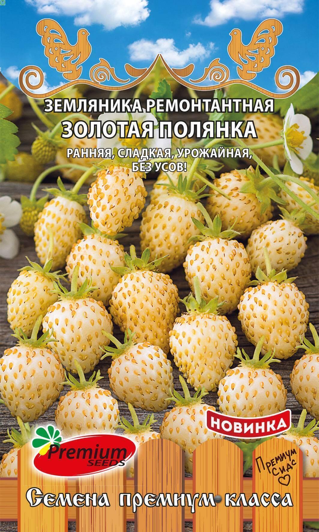Купить оптом в Ботанике семена Земляника Золотая полянка ПС бренд Премиум Сидс