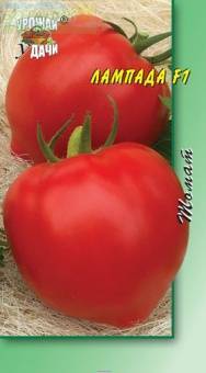 Купить оптом в Ботанике семена Томат Лампада F1 УУ бренд Урожай Удачи