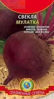 Купить оптом в Ботанике семена Свекла Мулатка Плз бренд Плазмас