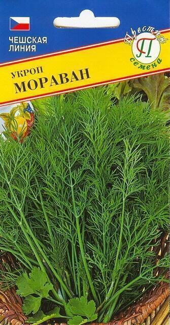 Купить оптом в Ботанике семена Укроп Мораван Прес бренд Престиж