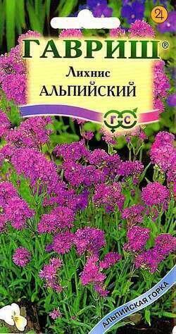 Купить оптом в Ботанике семена Лихнис Альпийский (смолка) Гав бренд Гавриш