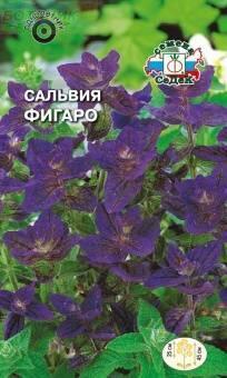 Купить оптом в Ботанике семена Сальвия Фигаро Сед бренд СеДеК