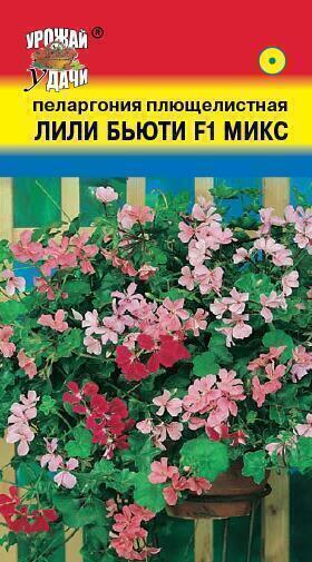 Купить оптом в Ботанике семена Пеларгония Лили Бьюти F1 УУ бренд Урожай Удачи