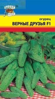 Купить оптом в Ботанике семена Огурец Верные друзья F1 УУ бренд Урожай Удачи
