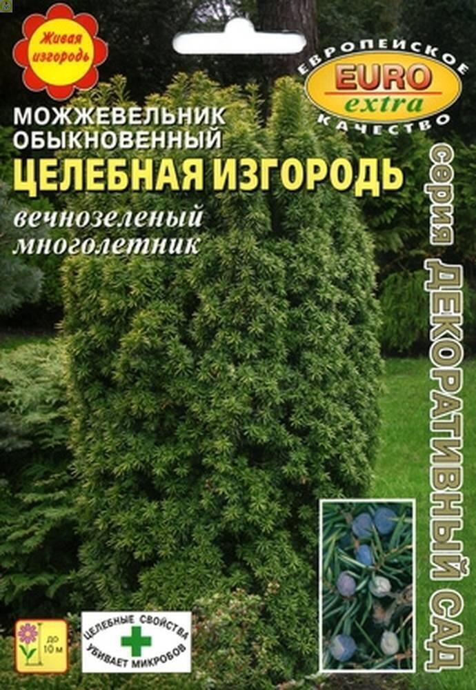 Купить оптом в Ботанике семена Можжевельник Целебная изгородь Аэл бренд Аэлита
