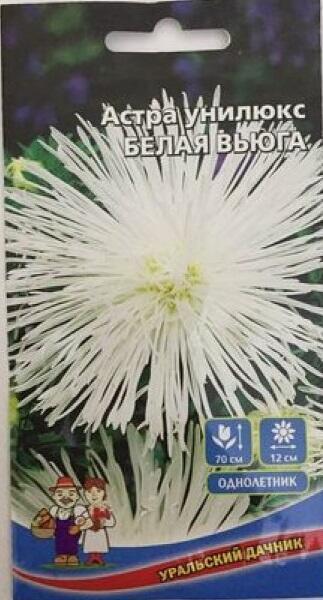 Купить оптом в Ботанике семена Астра Белая вьюга УД бренд Уральский дачник