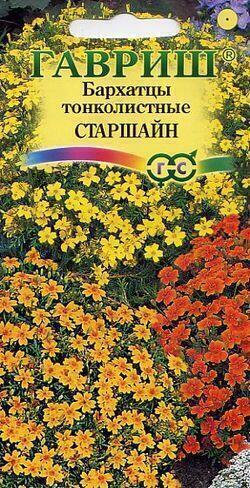 Купить оптом в Ботанике семена Бархатцы Старшайн Гав бренд Гавриш