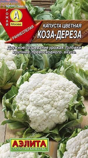 Купить оптом в Ботанике семена Капуста цветная Коза-дереза Аэл бренд Аэлита