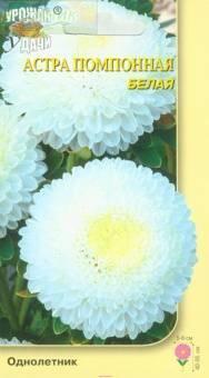 Купить оптом в Ботанике семена Астра Помпонная белая УУ бренд Урожай Удачи