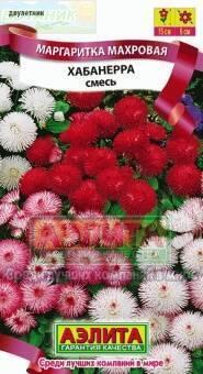 Купить оптом в Ботанике семена Маргаритка Хабанера смесь Аэл бренд Аэлита
