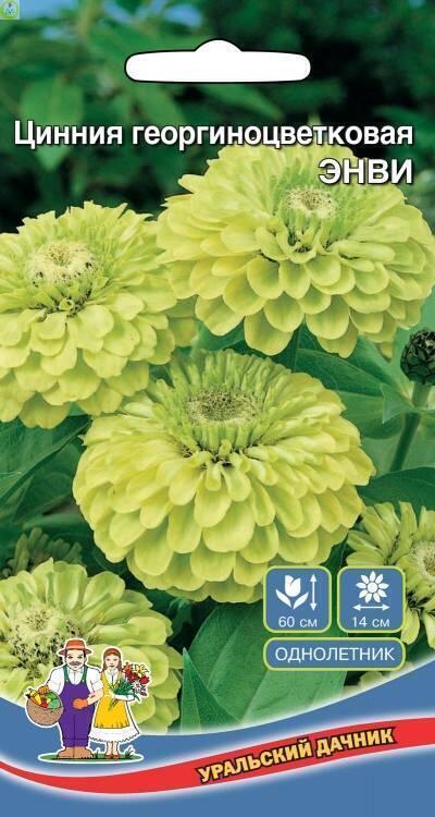 Купить оптом в Ботанике семена Цинния Энви УД бренд Уральский дачник