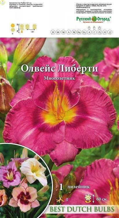 Купить оптом в Ботанике Лилейник Олвейс Либерти I