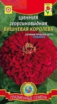 Купить оптом в Ботанике семена Цинния Вишневая королева Плз бренд Плазмас