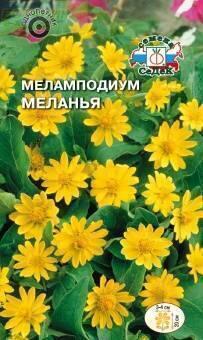 Купить оптом в Ботанике семена Меламподиум Меланья Сед бренд СеДеК