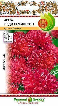 Купить оптом в Ботанике семена Астра Леди Гамильтон НК бренд НК