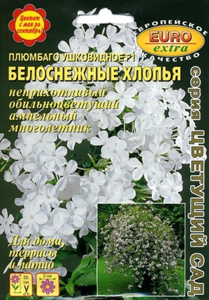 Купить оптом в Ботанике семена Плюмбаго Белоснежные хлопья Аэл бренд Аэлита