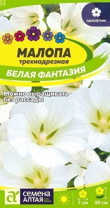 Купить оптом в Ботанике семена Малопа Белая фантазия СА бренд Семена Алтая