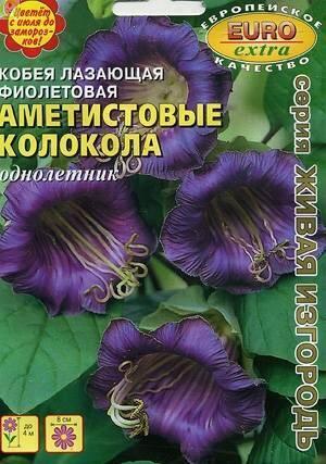 Купить оптом в Ботанике семена Кобея Аметистовые колокола фиолетовая Аэл бренд Аэлита