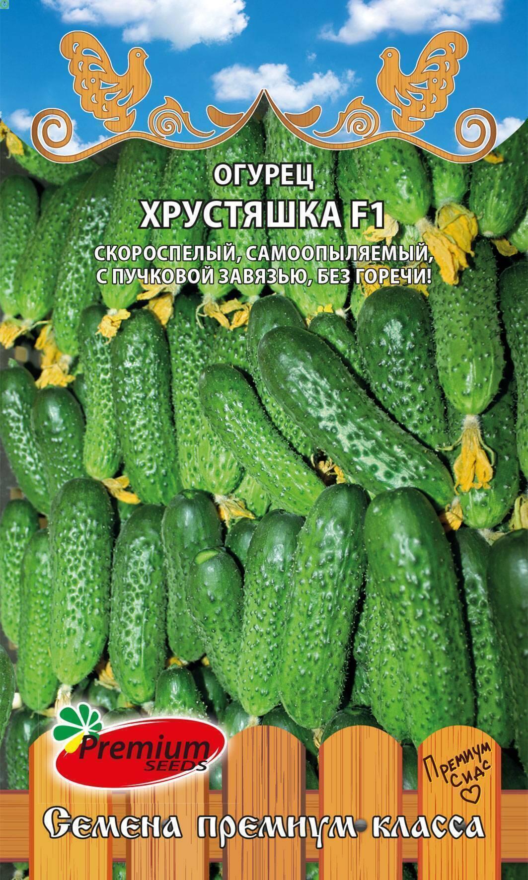 Купить оптом в Ботанике семена Огурец Хрустяшка ПС бренд Премиум Сидс