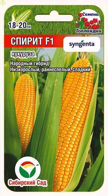 Купить оптом в Ботанике семена Кукуруза Спирит F1 СС бренд Сиб.сад