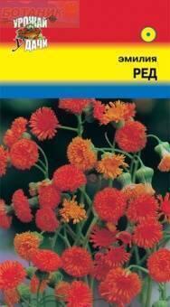 Купить оптом в Ботанике семена Эмилия Ред УУ бренд Урожай Удачи