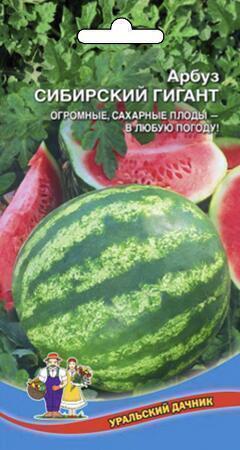 Купить оптом в Ботанике семена Арбуз Сибирский гигант УД бренд Уральский дачник