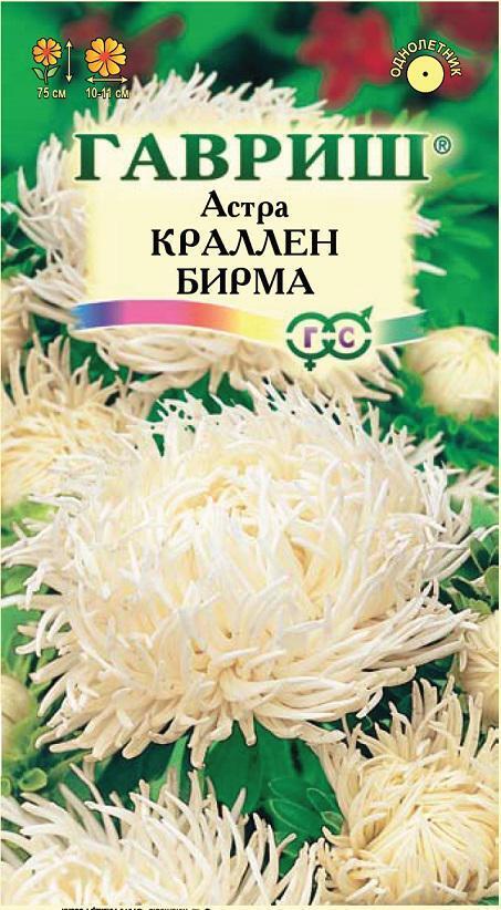 Купить оптом в Ботанике семена Астра Бирма кремово белая Гав бренд Гавриш