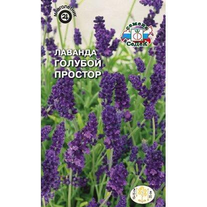 Купить оптом в Ботанике семена Лаванда Голубой простор Сед бренд СеДеК
