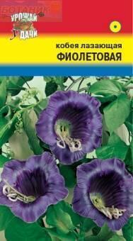 Купить оптом в Ботанике семена Кобея Фиолетовая УУ бренд Урожай Удачи