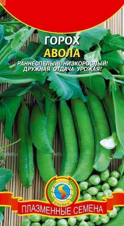 Купить оптом в Ботанике семена Горох Авола Плз бренд Плазмас