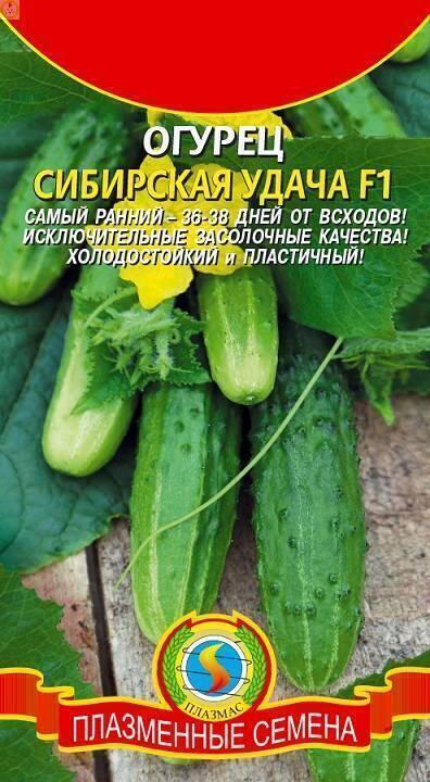 Купить оптом в Ботанике семена Огурец Сибирская удача F1 Плз бренд Плазмас